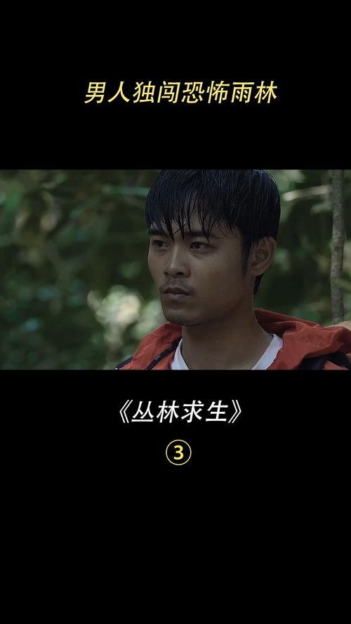 密林 电影在线观看,揭秘神秘森林的惊悚之旅  第1张